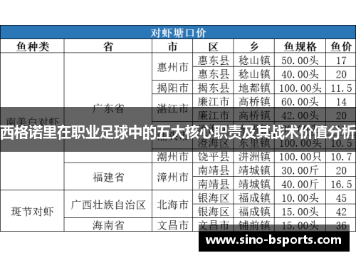 西格诺里在职业足球中的五大核心职责及其战术价值分析 西格诺里在职业足球中的五大核心职责及其战术价值分析