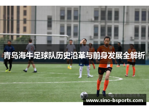 青岛海牛足球队历史沿革与前身发展全解析 青岛海牛足球队历史沿革与前身发展全解析