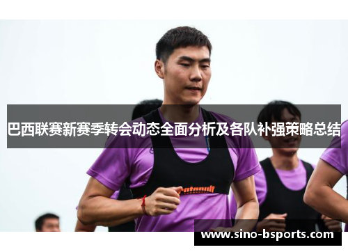 巴西联赛新赛季转会动态全面分析及各队补强策略总结 巴西联赛新赛季转会动态全面分析及各队补强策略总结