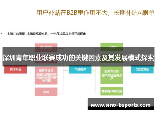 深圳青年职业联赛成功的关键因素及其发展模式探索 深圳青年职业联赛成功的关键因素及其发展模式探索