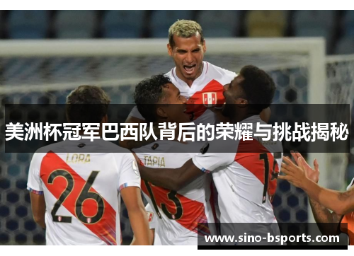 美洲杯冠军巴西队背后的荣耀与挑战揭秘