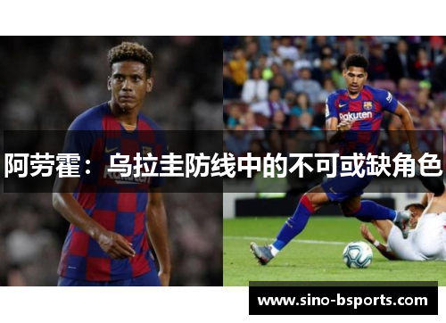 阿劳霍：乌拉圭防线中的不可或缺角色