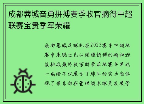 成都蓉城奋勇拼搏赛季收官摘得中超联赛宝贵季军荣耀