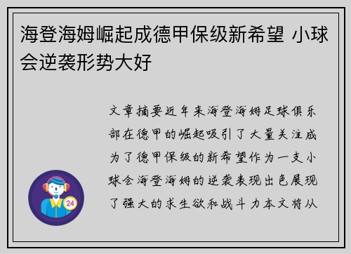 海登海姆崛起成德甲保级新希望 小球会逆袭形势大好